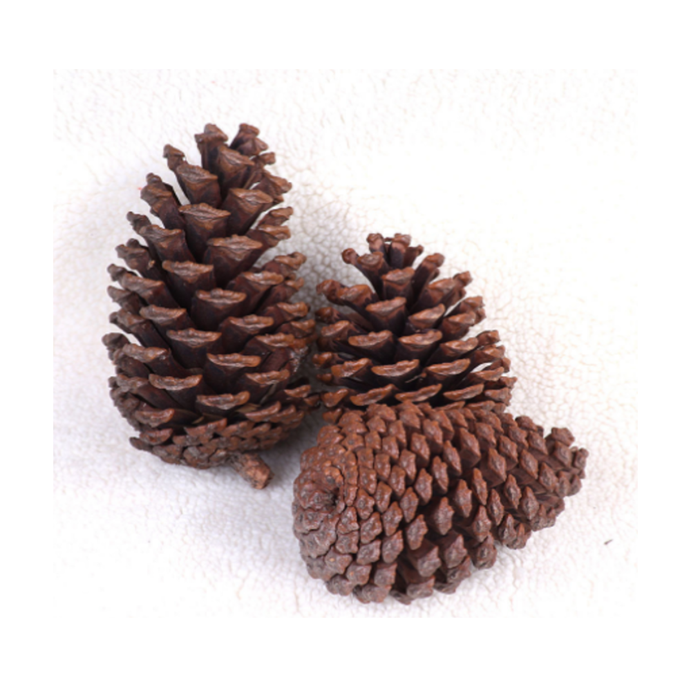 Ozdobné Šišky, rôzne veľkosti