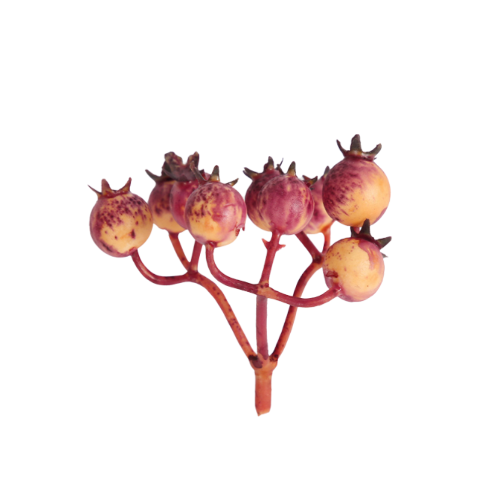 Dekoratívne penové bobule, rôzne farby