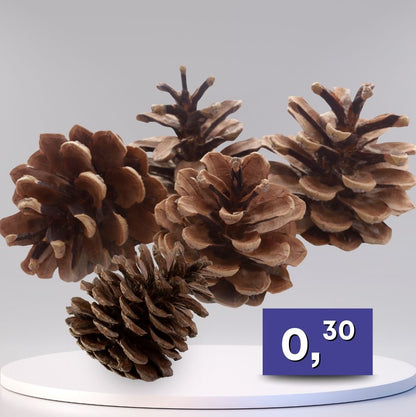 Ozdobné Šišky, rôzne veľkosti